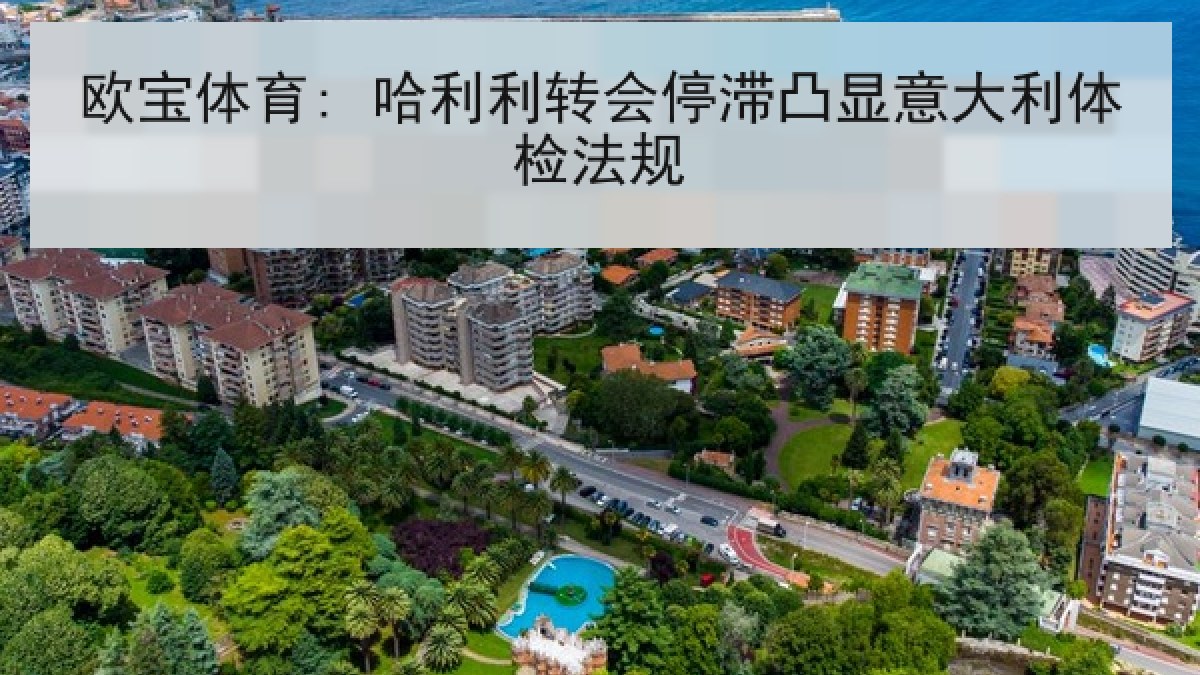 欧宝体育: 哈利利转会停滞凸显意大利体检法规