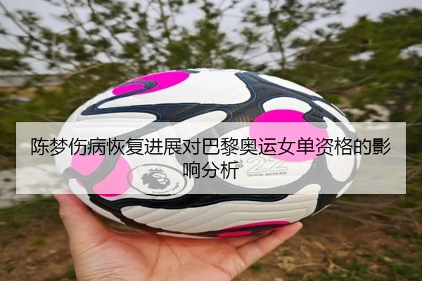 陈梦伤病恢复进展对巴黎奥运女单资格的影响分析