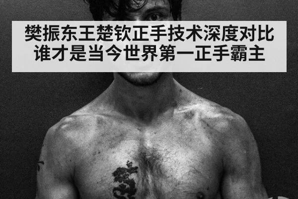 樊振东王楚钦正手技术深度对比 谁才是当今世界第一正手霸主